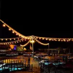 Festoon Lights Harness 50 Metres