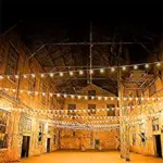 Festoon Lights Harness 50 Metres