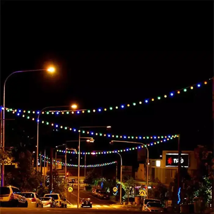 Festoon Lights Harness 50 Metres