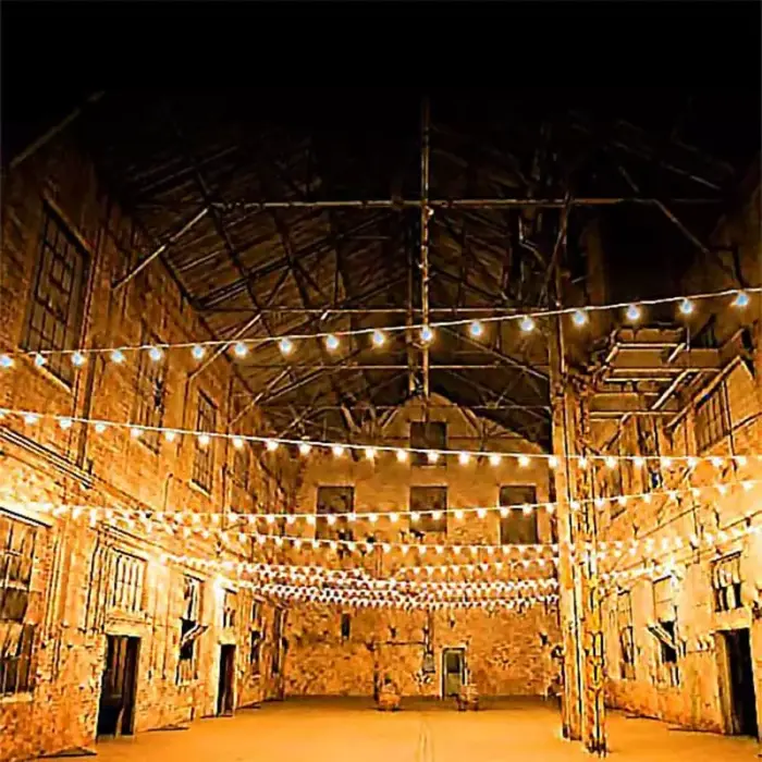 Festoon Lights Harness 50 Metres