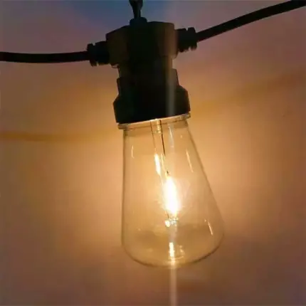 LED Vintage Warm White Festoon Lights