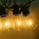 LED Vintage Warm White Festoon Lights