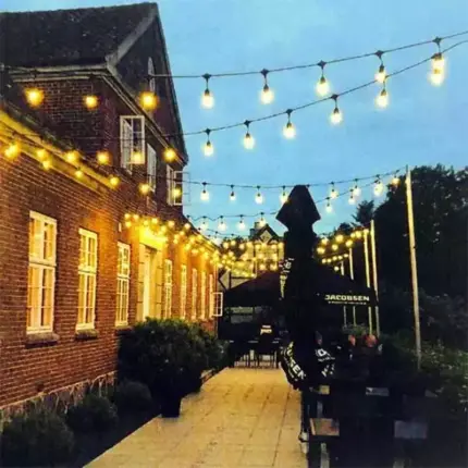 Outdoor 10 Metres Festoon Lights Harness