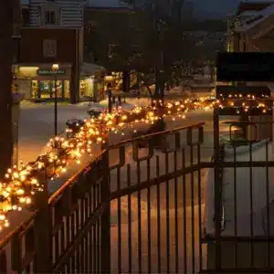 300 low voltage connectable LED cluster Christmas lights for indoor and outdoor use