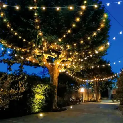 50M Festoon Lights Harness With 100 B22 Lampholders