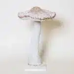 Large Champagne Mushroom Christmas Tabletop Decoration