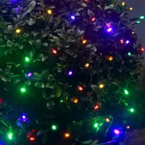 200 LED multicolour with twinkle battery operated Christmas lights outdoor tree display
