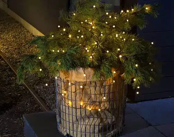 Warm white battery operated Christmas lights