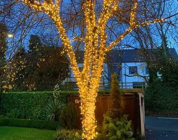 Outdoor Christmas lights for Ireland's home and business